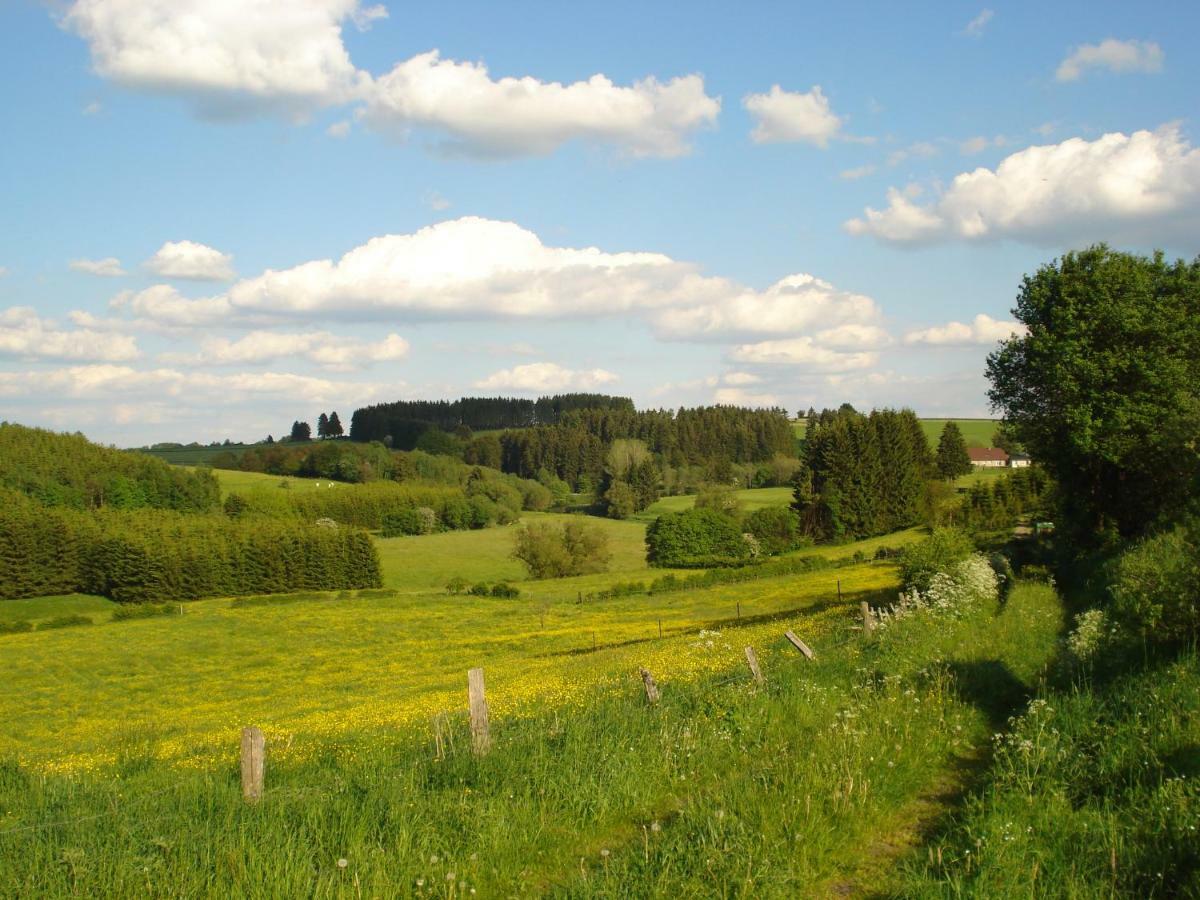 Location Panoramagreen Burg Reuland Exterior foto